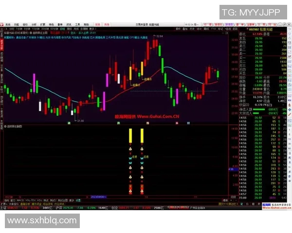 南京极限运动队区域防守策略解析与热点趋势探讨