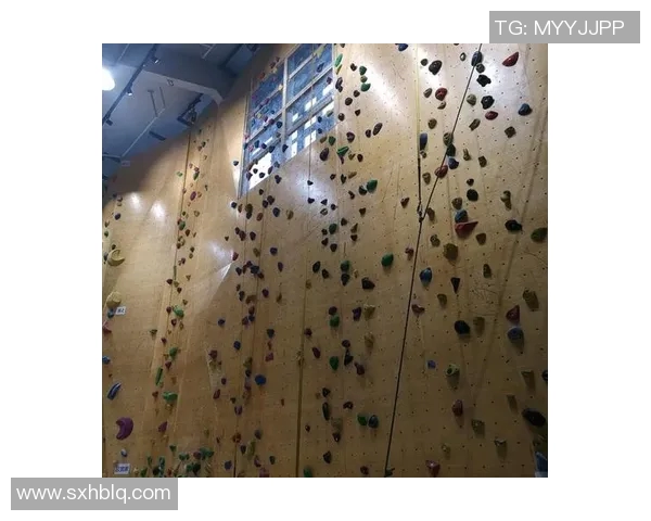 南京攀岩队的控制打法分析与战术应用深度解读